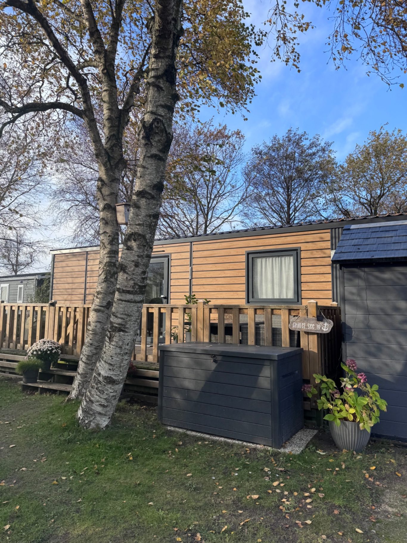 Außenansicht Holzhütte mit Terrasse neben einem Baum, umgeben von Bäumen und blauem Himmel.