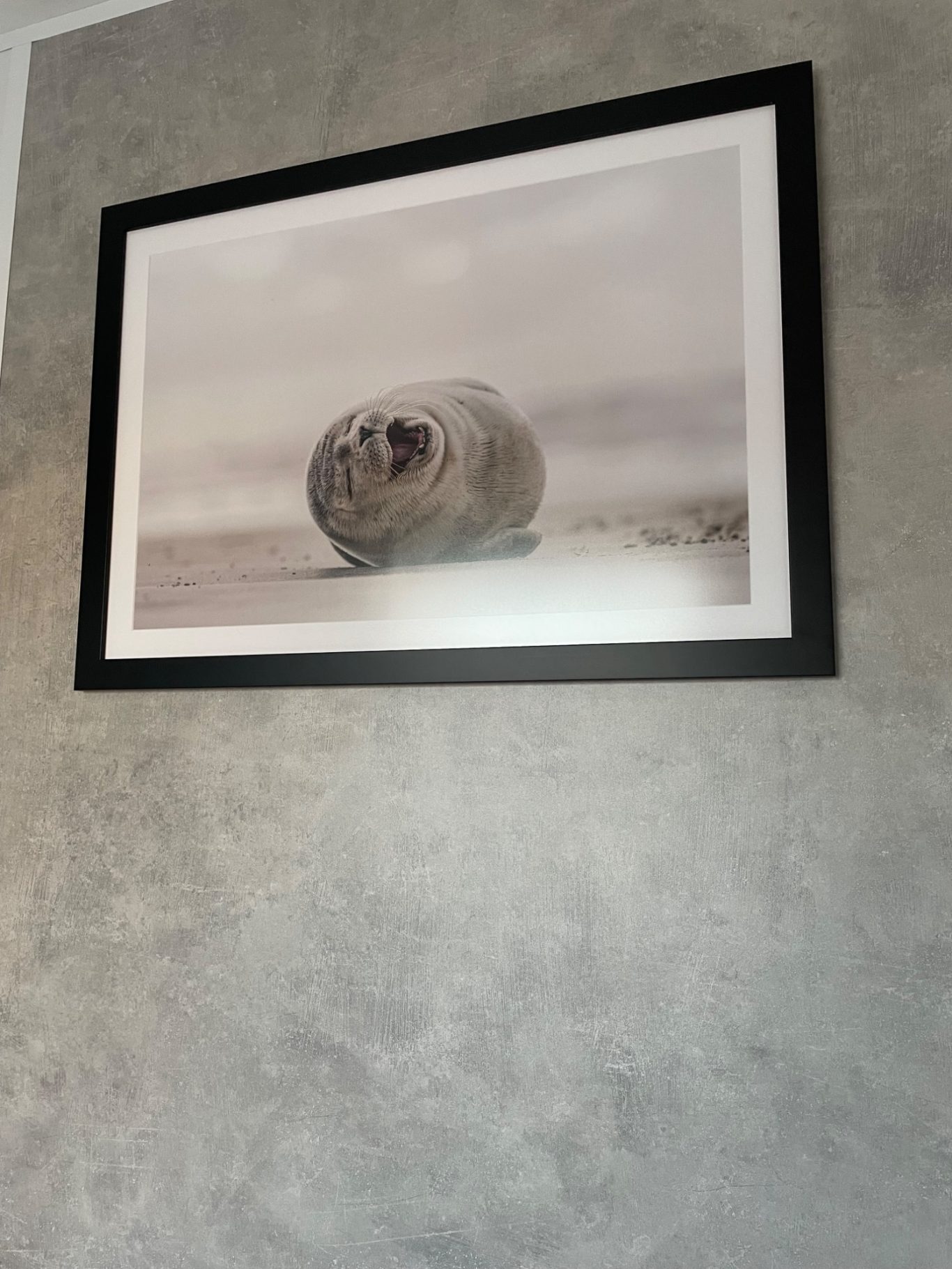 Schlafzimmer 2 Ein Ringelrobbenjunges liegt auf einem grauen, sandigen Meereshorizont.