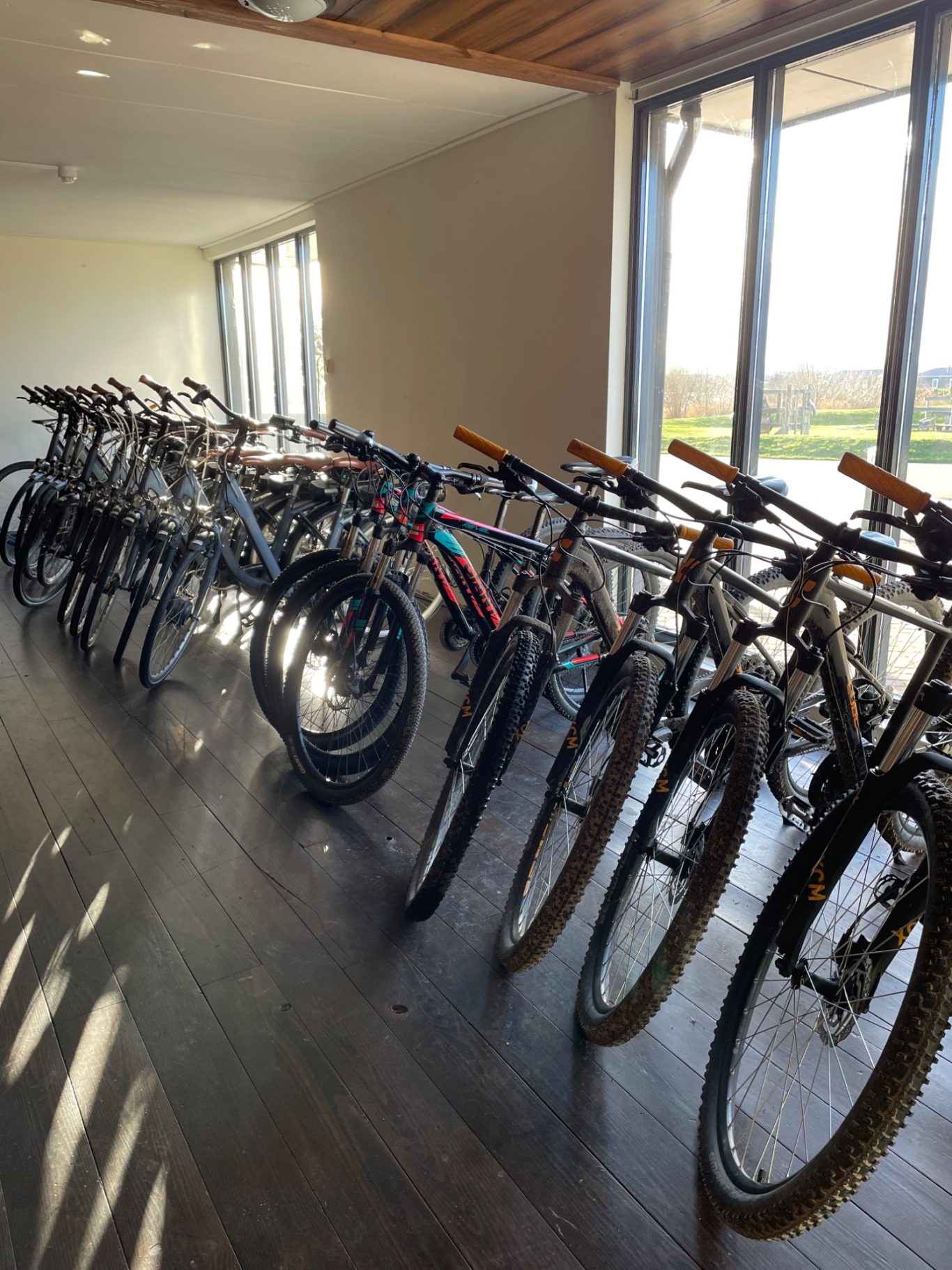 Fahrradverleih Reihe von Fahrrädern und einem Reifen in einem hellen Raum mit Fensterblick.