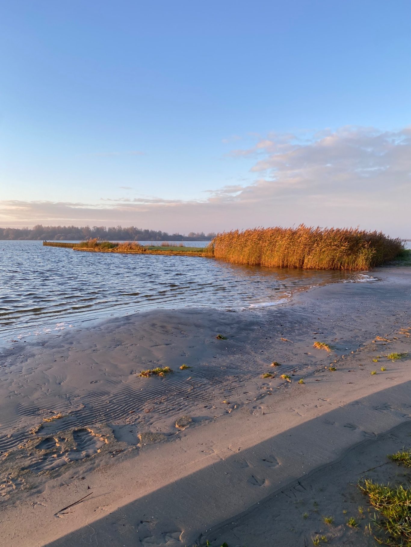Badestrand Sonniger Strand mit sanften Wellen und Schilfinseln im Hintergrund.
