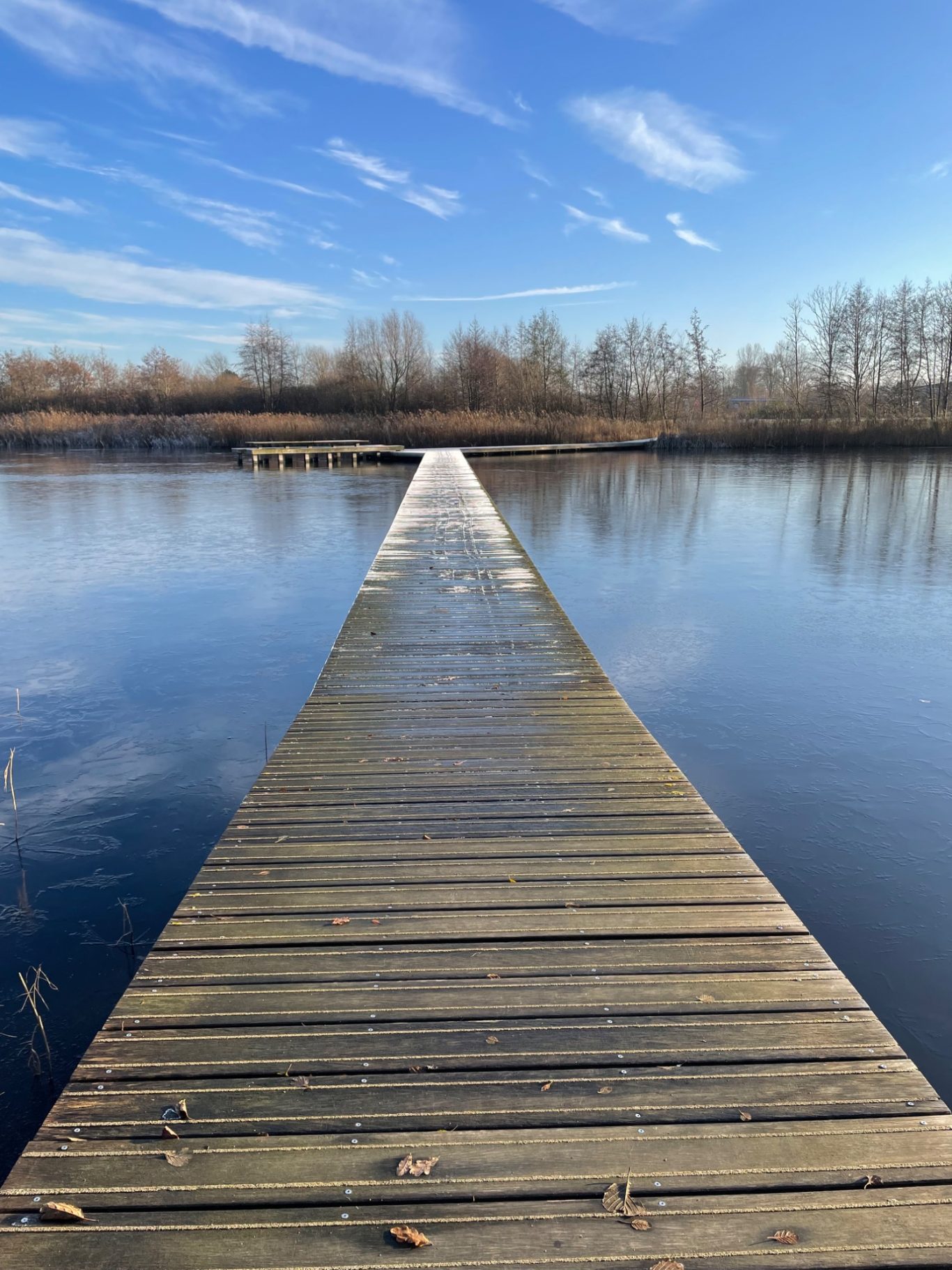 Spazierwege Holzpier, der ins Wasser führt, umgeben von Bäumen und blauem Himmel.
