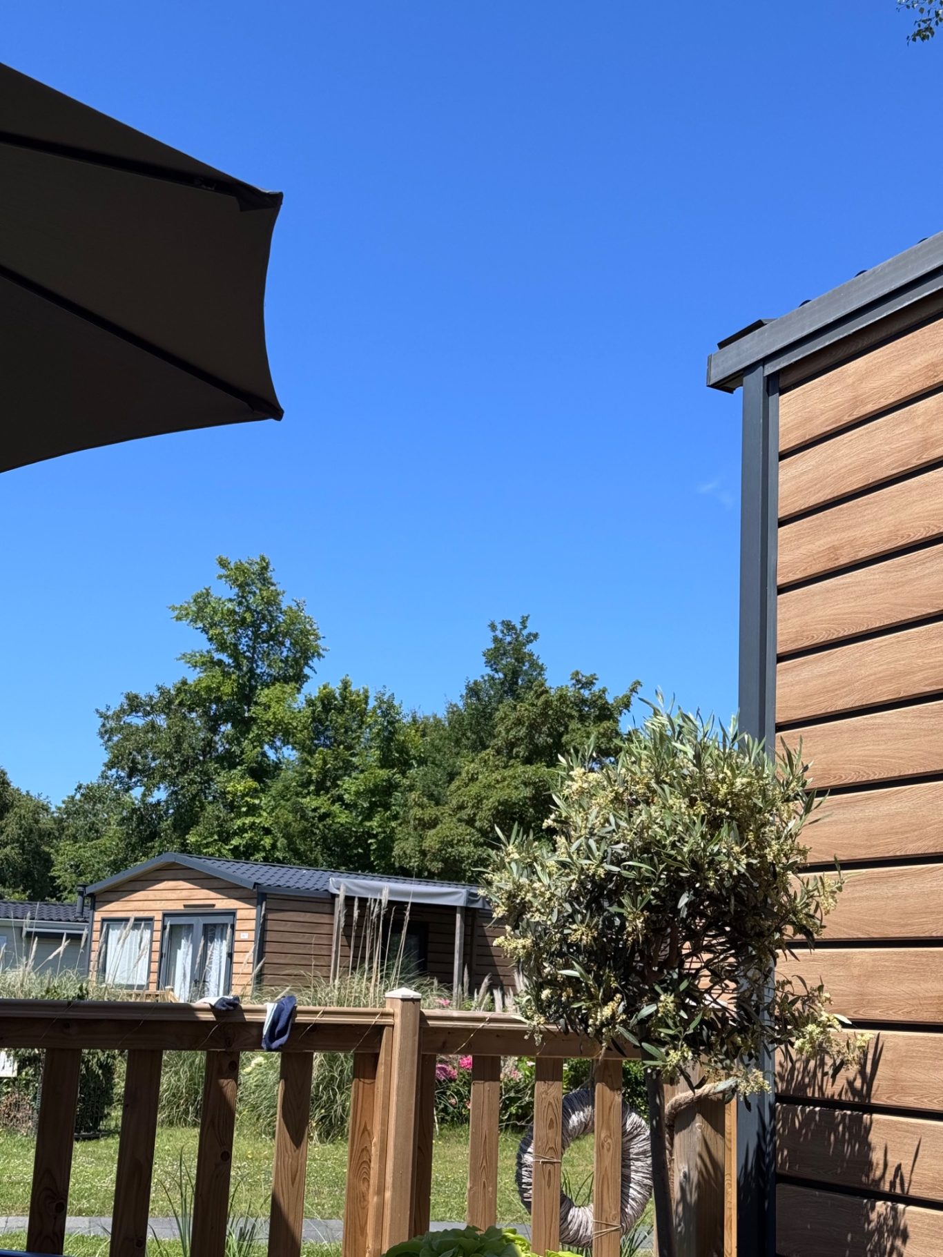 Terrasse Blauer Himmel mit einigen Bäumen und einem Sichtschutz aus Holz. Garten-Atmosphäre.